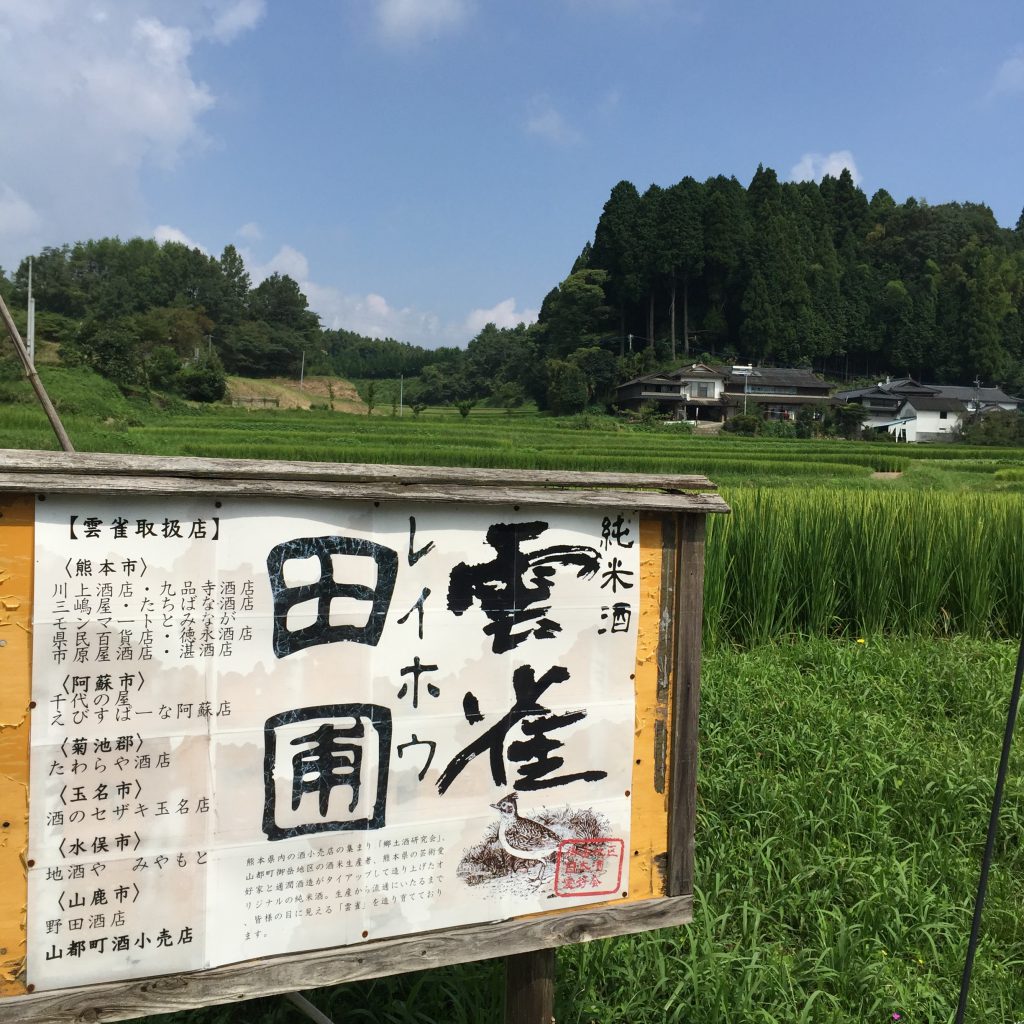 雲雀（ひばり）の原料米が作られる田んぼ。地元の小学生の遠足コースにある。